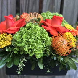Bright mixed floral arrangement with red roses, green hydrangea, and orange pincushion blooms in a black container.