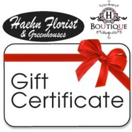 Gift certificate card with a red ribbon bow
