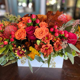 Box of Autumn