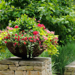 Mixed pink and red flowers in a large bowl planter outdoors