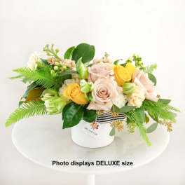 Mixed roses in a white hatbox with fern accents