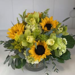 Spring Harvest
