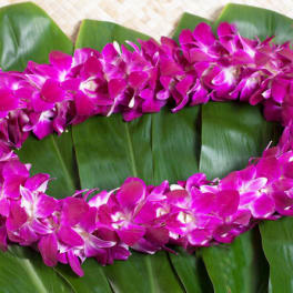 Pink orchid lei on broad green leaves