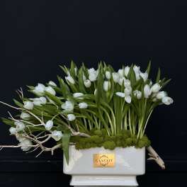 White tulips arranged in a white rectangular vase with moss and branches