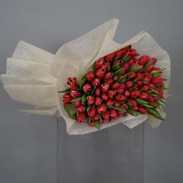 Bouquet of red tulips wrapped in white paper