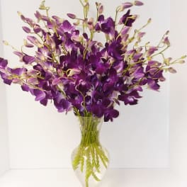 Purple orchids arranged in a clear glass vase