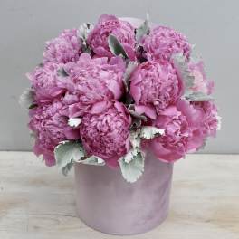 Pink peony arrangement in a round pale pink hatbox-style container with soft silvery foliage.