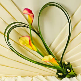 Three calla lilies arranged with looping green stems on a cream fan background