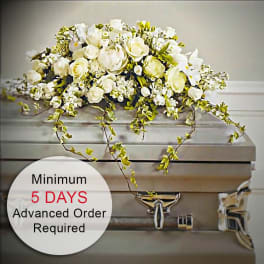 White rose casket spray with trailing vines displayed on a silver casket.