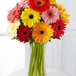Colorful gerbera daisy bouquet in a clear glass vase