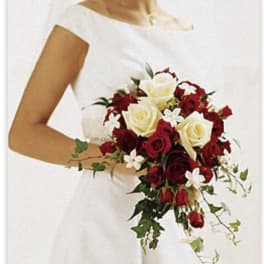 Red & White Romance