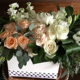 White and peach roses arranged in a white box with greenery