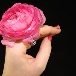 Hand holding a bright pink ranunculus bloom against a black background