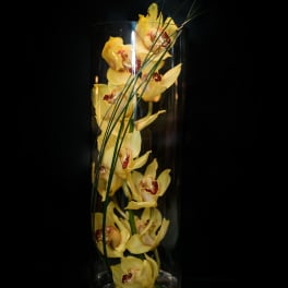 Yellow orchids arranged in a tall glass vase with long grass blades