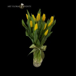 Perky Tulips