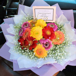 Colorful bouquet of gerbera daisies wrapped in lavender paper