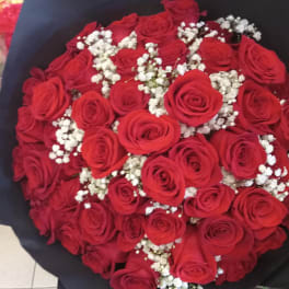 Bouquet of red roses with white baby's breath wrapped in black paper