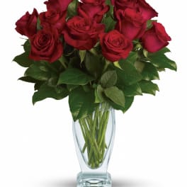 Teleflora's Rose Classique - Dozen Red RosesTeleflora's Rose Classique - Dozen Red Roses