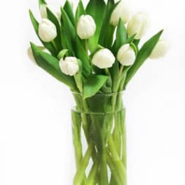 White tulips arranged in a clear glass vase