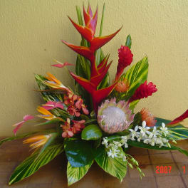 Tropical arrangement with red heliconia, protea, and white orchids