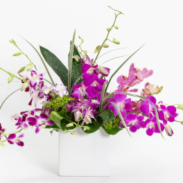 Purple orchid arrangement in a white square vase