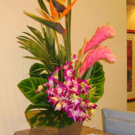 Tropical arrangement with pink orchids and bird-of-paradise in a pot