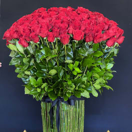 Large bouquet of red roses with a black ribbon wrap