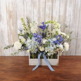 Low arrangement of blue and white flowers in a white wooden box with a striped ribbon.