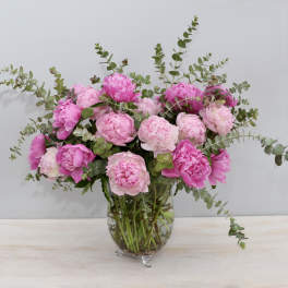 Large arrangement of pink peonies with arching eucalyptus in a clear glass vase