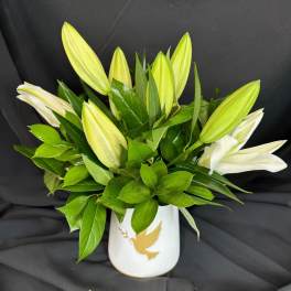 White lily buds in a white vase with a gold dove design