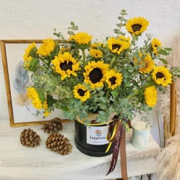 Sunflower arrangement in a black hatbox with ribbon