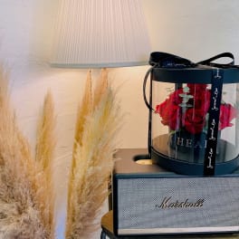 Red roses in a round gift box on a speaker, with pampas grass nearby.
