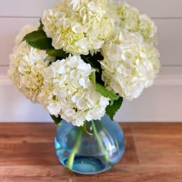 White hydrangea bouquet in a blue glass vase