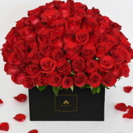 Large bouquet of red roses in a black box with scattered rose petals