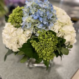 Blue and white hydrangea bouquet with green blooms