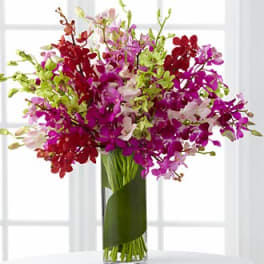 Bouquet of pink, purple, and red orchids in a tall glass vase