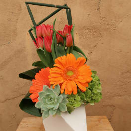 Orange gerbera daisies and pink tulips in a white vase with succulents