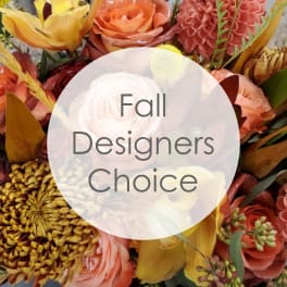 Fall Designers Choice