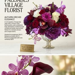 Autumn Orchid Elegance