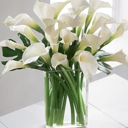 White calla lilies arranged in a clear glass vase