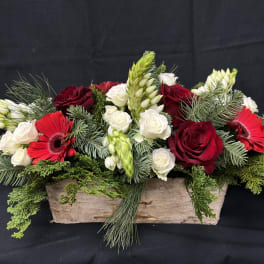 Red and white roses with red gerbera daisies in a wooden box