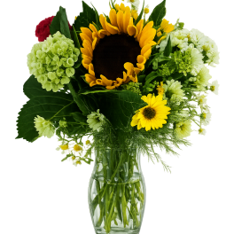 Summer Garden Deal of the day with fudge