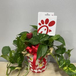 Potted pothos plant in a heart-themed gift container with a red ribbon