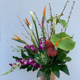 Tropical floral arrangement with orchids, bird of paradise, and anthurium in a decorative vase