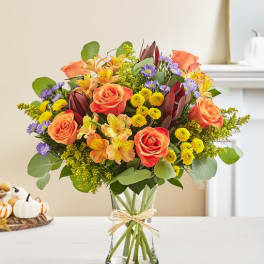 Autumn Breeze