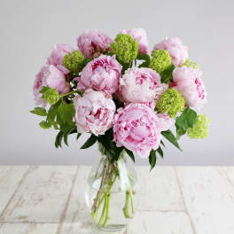 Pink peonies and green blooms in a clear glass vase