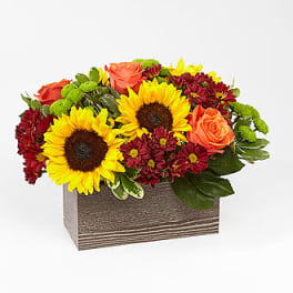 Eckert Florist's FTD Happy Harvest Bouquet