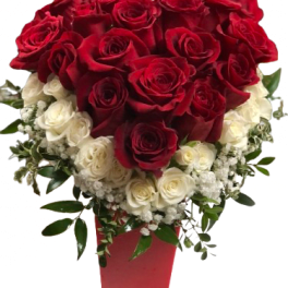 Red and White Rose Heart