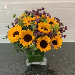 Sunflower bouquet in a clear square vase