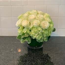 Cream roses and green hydrangeas in a dark vase